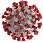 Covid-19 Virus Cell